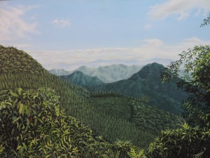 Montañas antioqueñas Jorge Marín